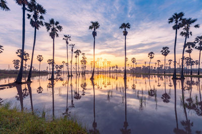 Scenic view of lake against sky during sunset