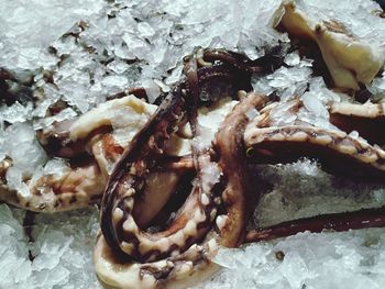 High angle view of ice cream