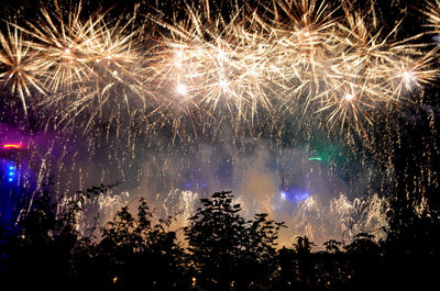 Firework display in landschaftspark at night