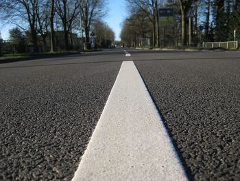 Surface level of road by trees in city