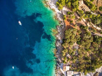 High angle view of swimming in sea