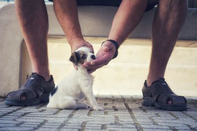 Low section of people with dog