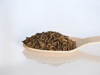 Close-up of ice cream