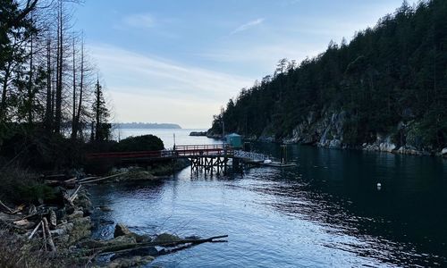 Scenic view of river by trees against sky