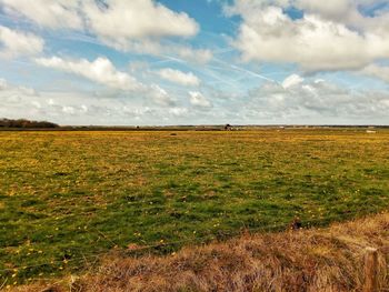 Scenic view of field against sky