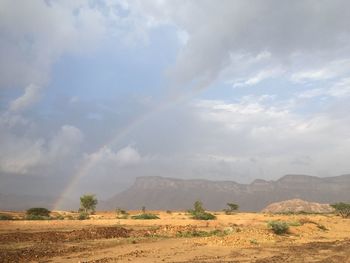 Scenic view of field against sky