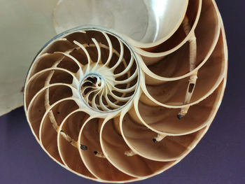 Close-up of spiral staircase