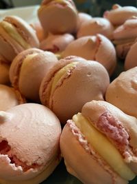 Close-up of ice cream for sale