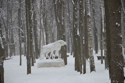 Snow covered trees in forest during winter