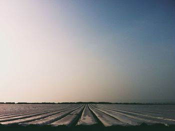 agriculture