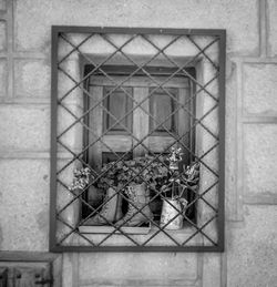 Close-up of a window in a building