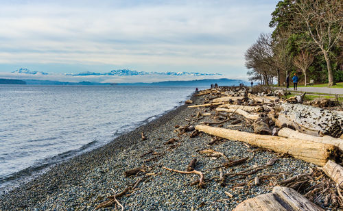 A landscape shot of the shoreline at lincoln park in west seattle, washington.