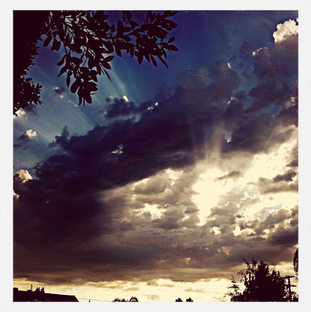 transfer print, sky, tree, auto post production filter, cloud - sky, tranquility, tranquil scene, scenics, beauty in nature, silhouette, cloudy, nature, low angle view, cloud, dusk, weather, idyllic, outdoors, branch, no people