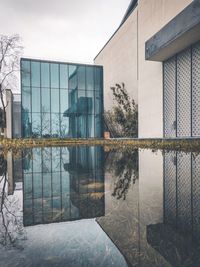 Reflection of building on glass window