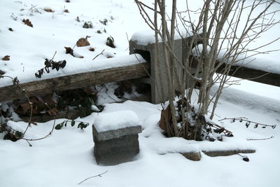 Snow covered trees on field