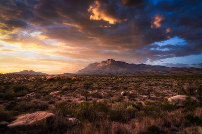 Scenic view of landscape against sky during sunset