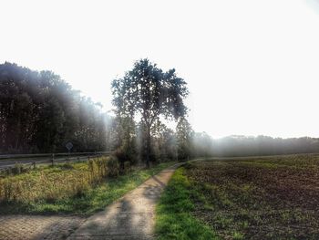 Country road passing through grassy field