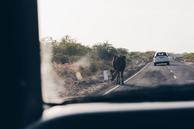 Rear view of car on road against sky