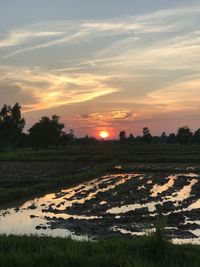 Scenic view of field against sky during sunset