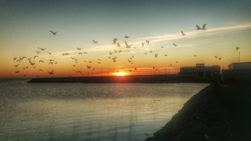 Scenic view of sea at sunset