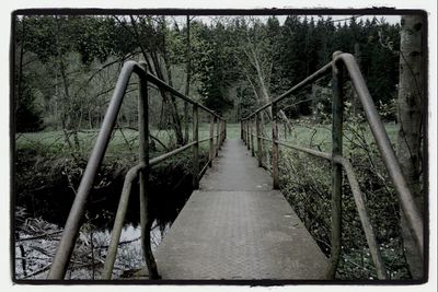 Footbridge with trees in background