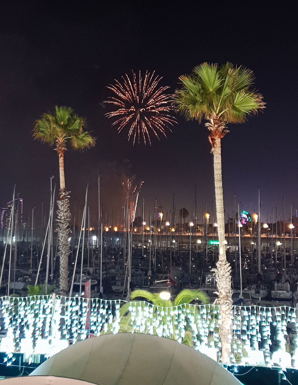 PALM TREES IN SWIMMING POOL AGAINST SKY