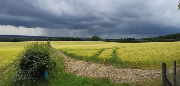 Scenic view of agricultural field against sky