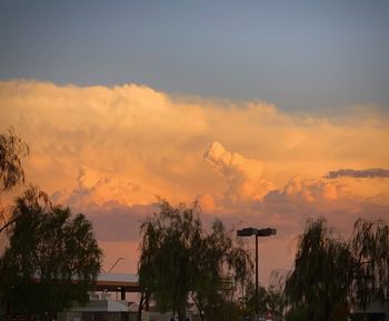 Silhouette trees and buildings against sky at sunset