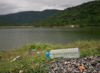 Garbage by plants on shore at lake