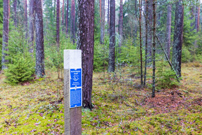 Sign for a nature reserve in the swedish forest