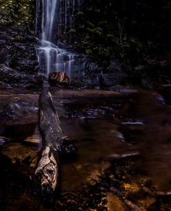 View of waterfall in forest