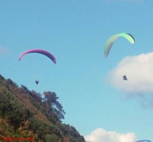 Low angle view of parachute