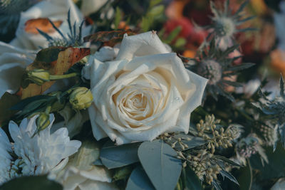 Close-up of rose bouquet