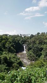 Scenic view of waterfall in forest against sky
