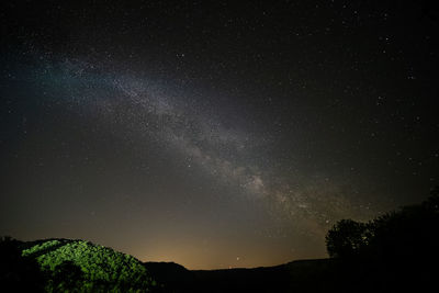 Low angle view of silhouette trees against sky at night