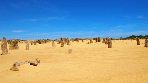 View of sand dunes in desert