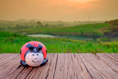 Sunglasses on field by road against sky during sunset