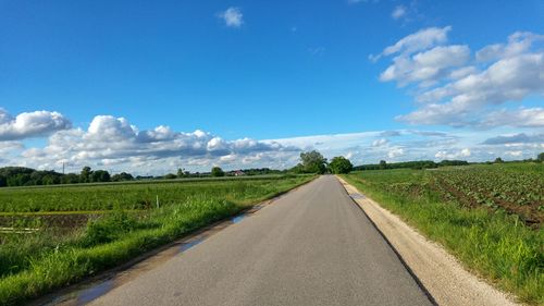 Road passing through field