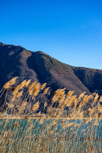 Scenic view of mountains against clear blue sky