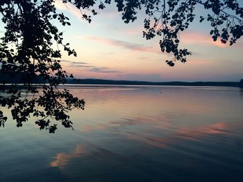 Reflection of trees in calm lake