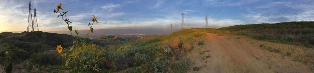 Scenic view of landscape against sky