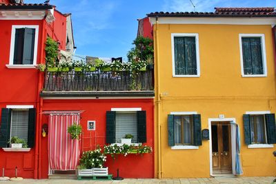 Potted plants on street against building