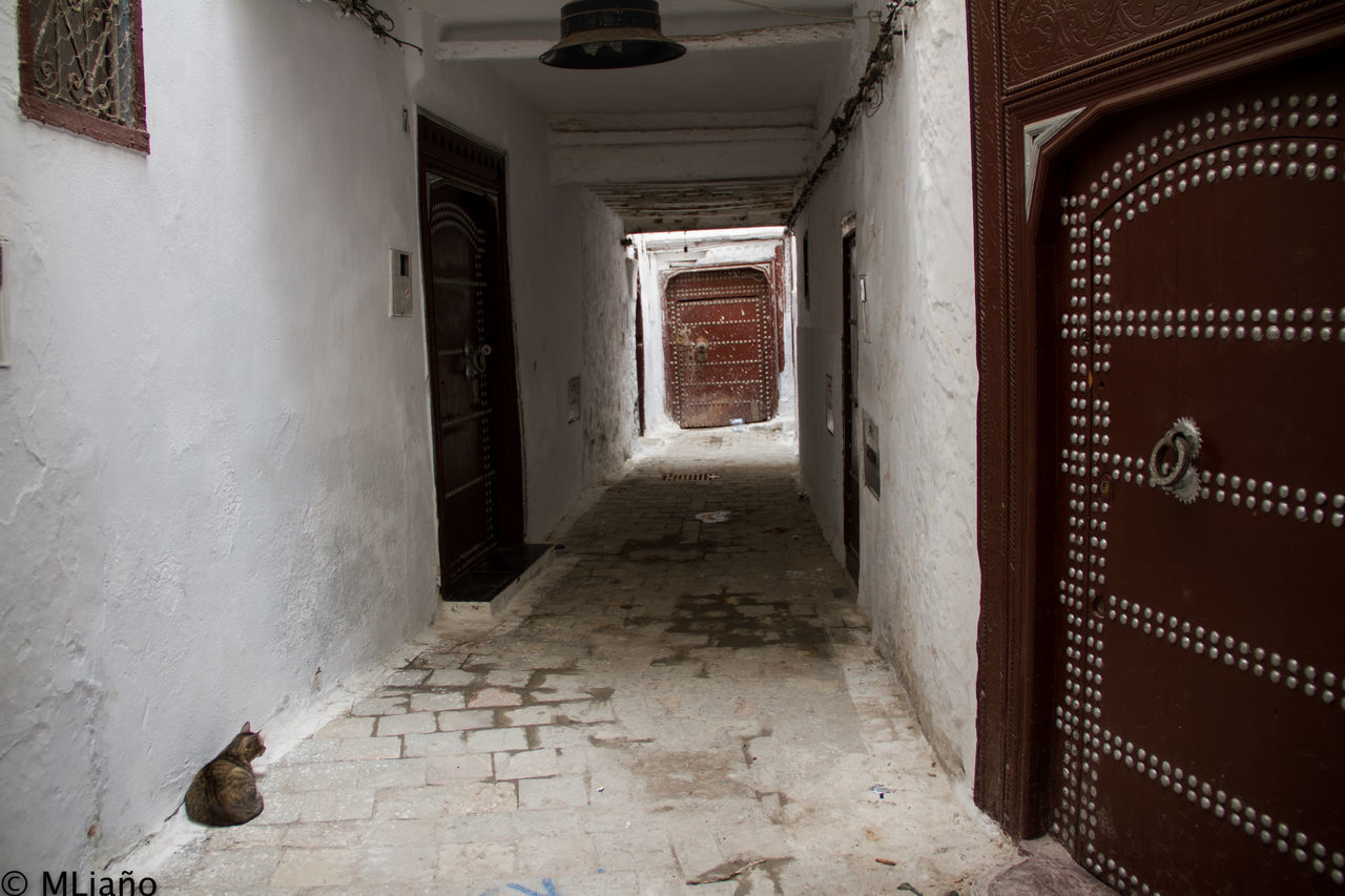 INTERIOR OF BUILDING