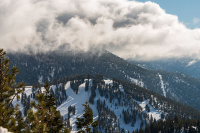 Snow covered mountain top with trees, cloud cover at diamond peak in incline village, nevada