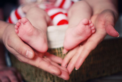 Close-up of baby holding hands