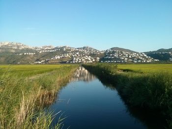 Scenic view of landscape against clear sky