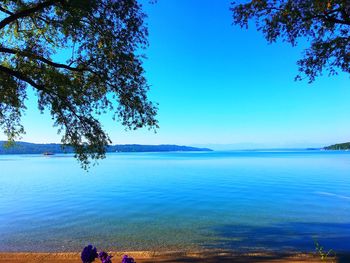 Scenic view of sea against clear blue sky