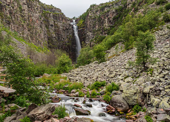 Scenic view of waterfall in forest