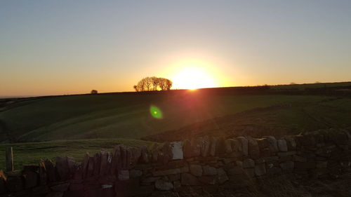 Sun shining through landscape