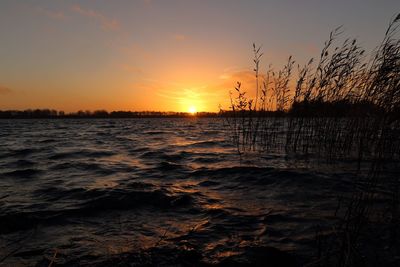 Scenic view of sunset over sea